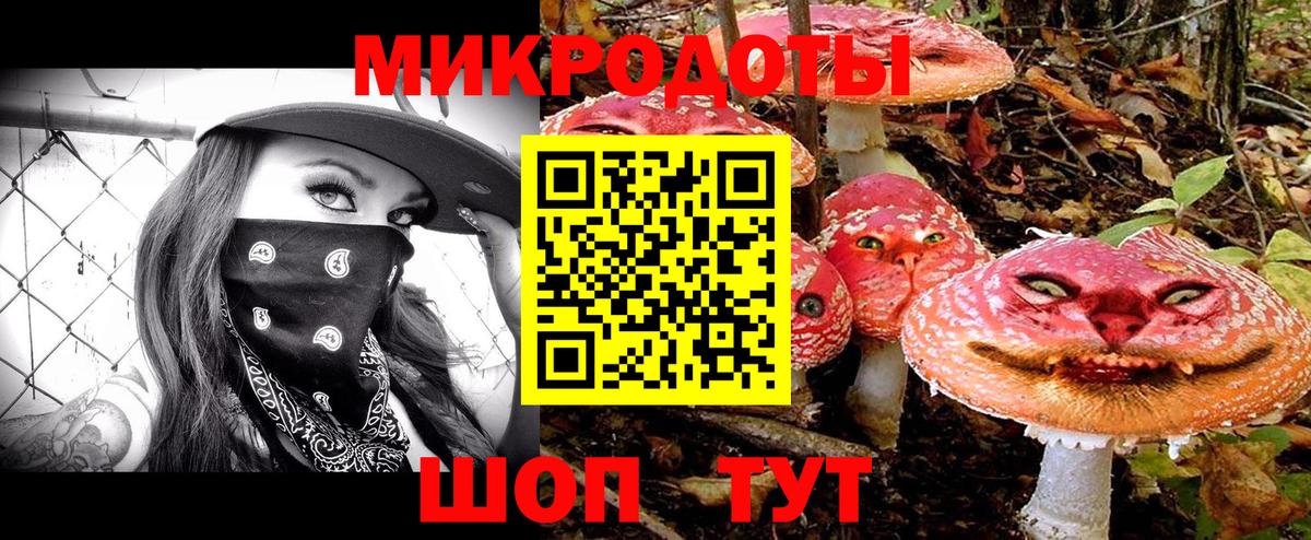 Лыткарино  Псилоцибиновые грибы прущие грибы  Вход с VPN 